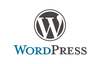WordPress龟速打开？
